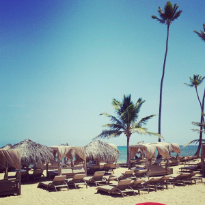 11218056_826848934103065_5153812380538376484_n